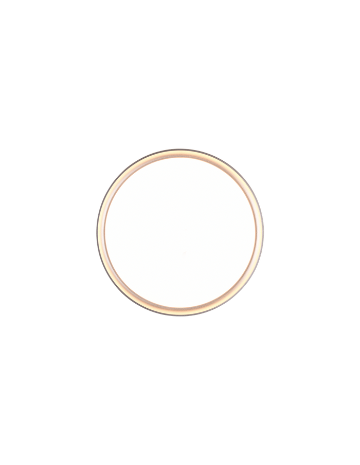 Plafoniera Rotonda Clarimo Led Dimmerabile Alluminio IP44 Ø33 cm Trio Lighting