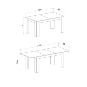 Tavolo allungabile 160x88x75 cm