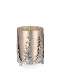 6x P.Candela Vt Parky Champagne H14