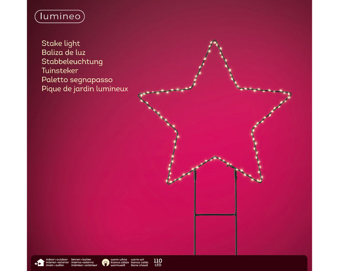 Luce da giardino a pianta Micro LED stella fissa per esterni L 0.6 x Ø 38 cm