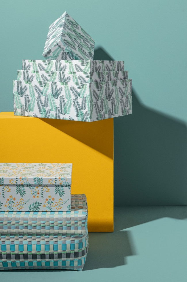 2x Scatola rettangolare 31x41x25h e 28x36x22h in plastica