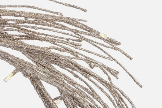 2x Corona Glad 24Led Champagne Classic D60