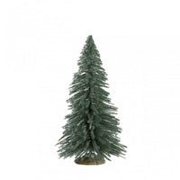 Spruce Tree Medium