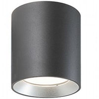Lampada da soffitto in alluminio pressofuso con diffusore in vetro trasparente - 40W, 4240 lumen grafite