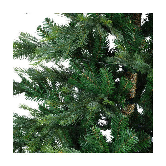 Albero Grandis Fir D162 H240cm verde