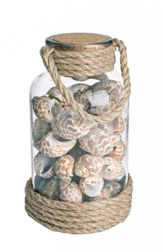 4x Bottiglia conchiglie rope D.10x19.5h