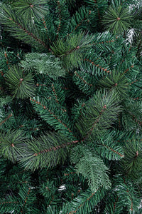 Albero Silandro H240-1196Rami