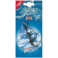 Arexons Profumatore Auto Fresca Foglia Fresh Antifumo