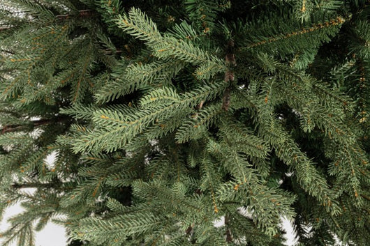 Albero D.145x210h in mix PE/PVC