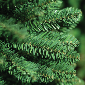 Albero Pencil Pine D70 H240cm verde