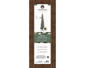 Albero di Natale Pencil pine Innevato H 150 x 45 cm
