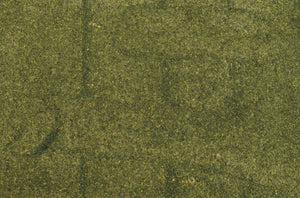 Carta con muschio naturale 50x70 cm