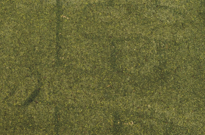 Carta con muschio naturale 50x70 cm