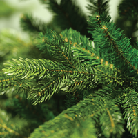 Albero di Natale Galloway spruce Ø120 x H 180 cm