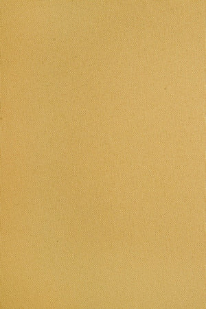 Cuscino poly senape dettaglio bottone schienale alto 50x120 cm