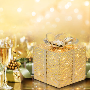 Pacco Regalo VPM Champ. 3AA 13x13xH16,5cm
 Luci di Natale