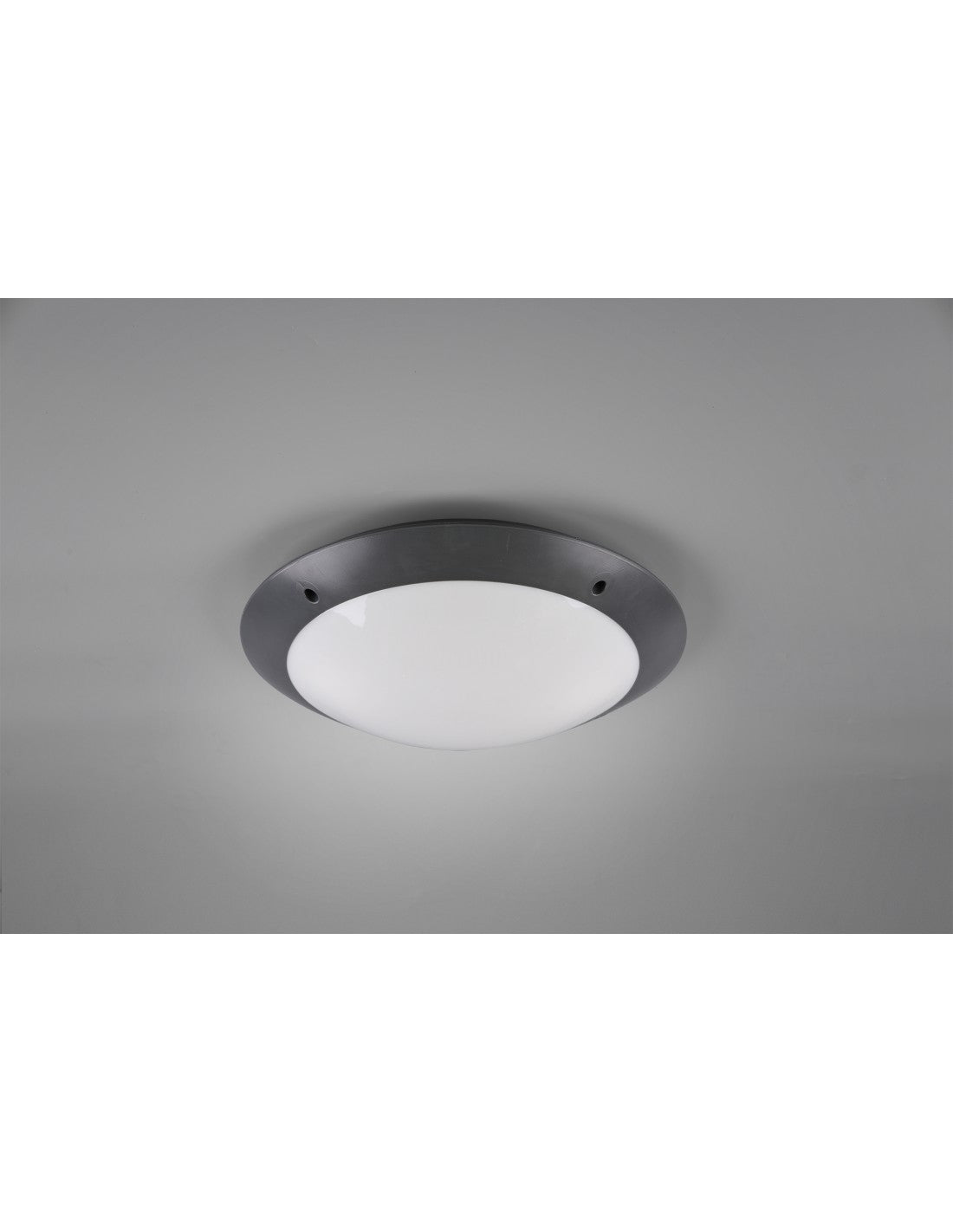 Plafoniera Da Esterno Camaro Antracite IP54 Ø33 cm Trio Lighting