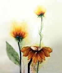 Pannello decorativo con finitura in legno giallo 60x120x4 cm