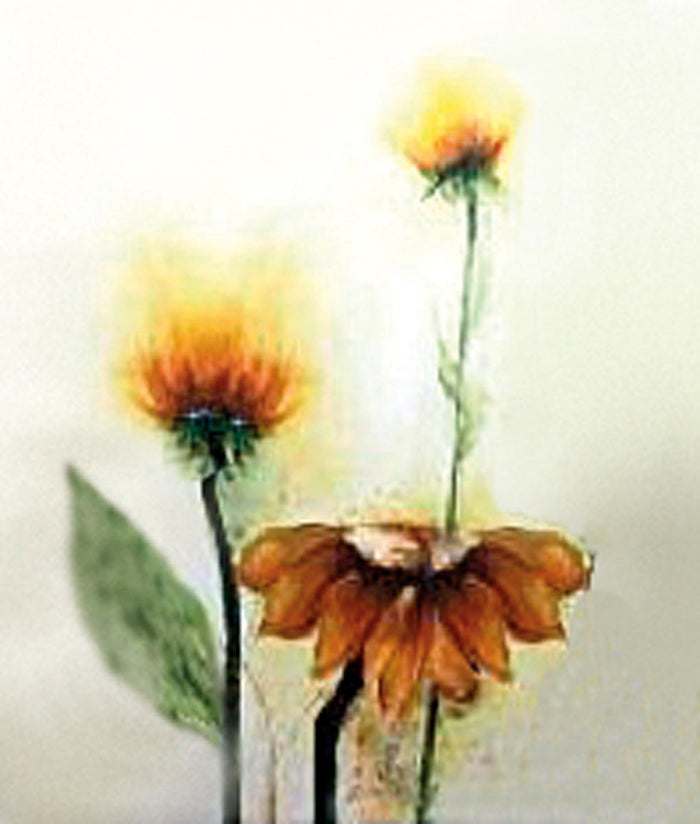 Pannello decorativo con finitura in legno giallo 60x120x4 cm