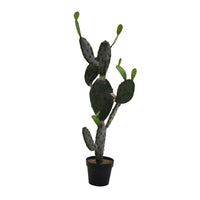 Pianta cactus c/vaso nero cm 60x45h119