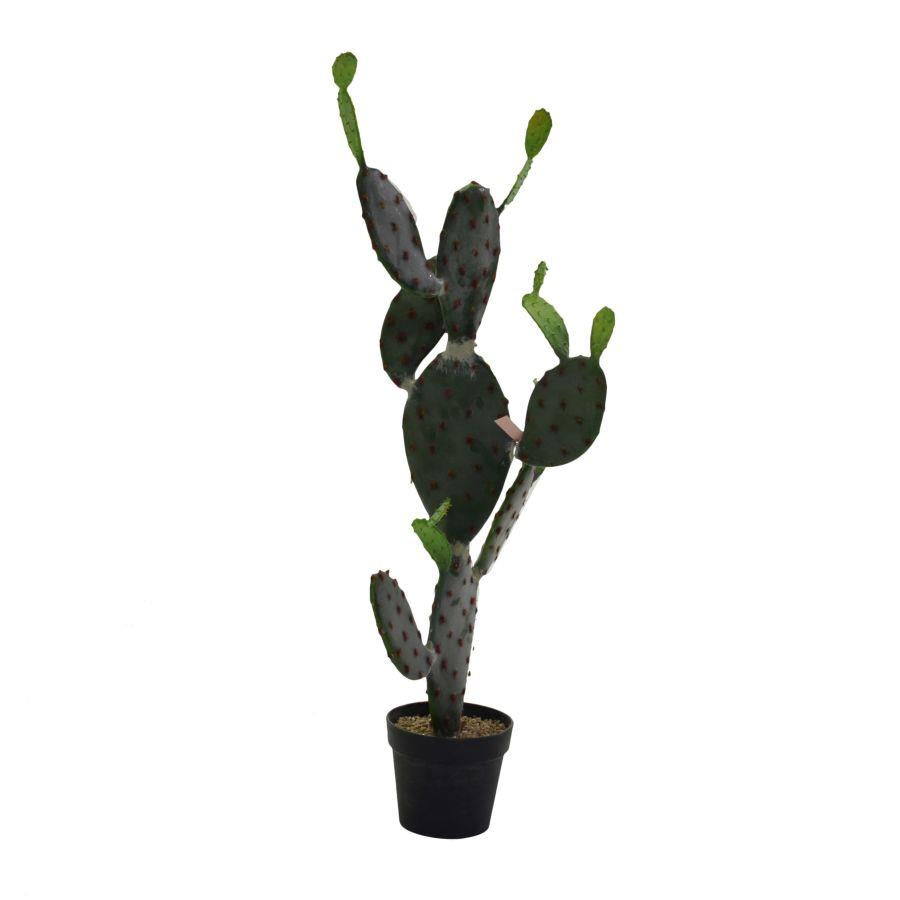 Pianta cactus c/vaso nero cm 60x45h119