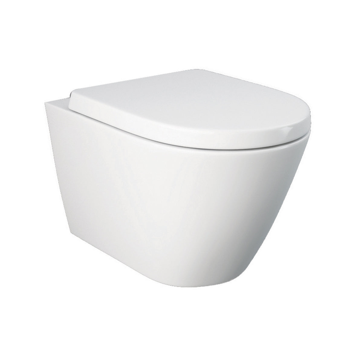 Vaso Sospeso Rimless Resort Fissaggio Nascosto