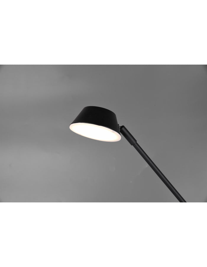 Piantana Led Con Luce Spot da Lettura Dimmerabile Haora Antracite Trio Lighting