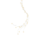 Luci a grappolo fisse 100cm 320 LED bianco caldo