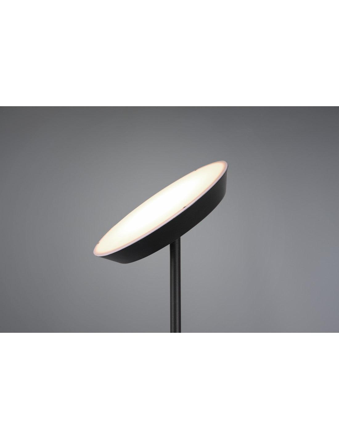 Piantana Led Con Luce Spot da Lettura Dimmerabile Haora Antracite Trio Lighting