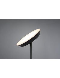 Piantana Led Con Luce Spot da Lettura Dimmerabile Haora Antracite Trio Lighting