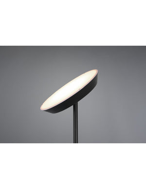Piantana Led Con Luce Spot da Lettura Dimmerabile Haora Antracite Trio Lighting
