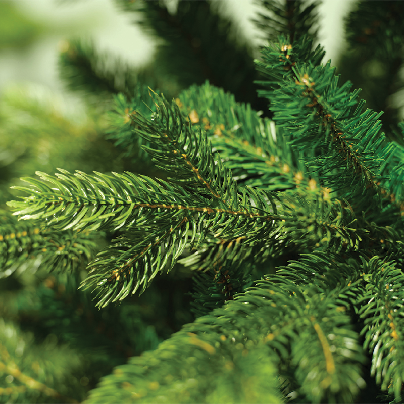 Albero di Natale Galloway spruce Ø120 x H 180 cm