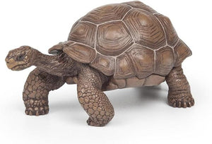 Papo Animal Statuetta, Colore Tartaruga delle Galapagos, Small, 50161