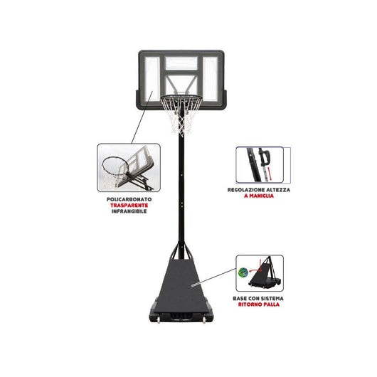PIANTANA BASKET`EVOLUTION`245/310cm