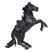 Papo - Zorro`s House