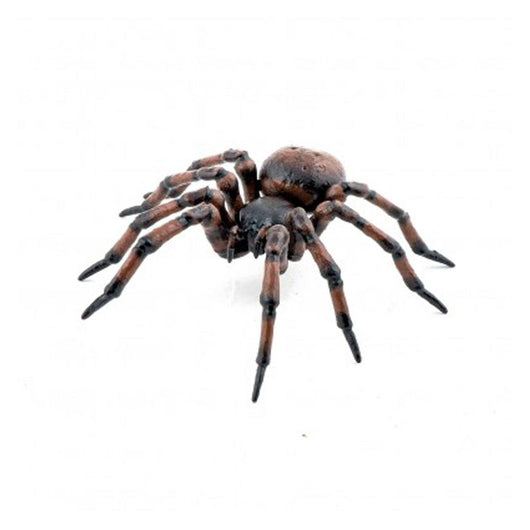 Papo - Common spider