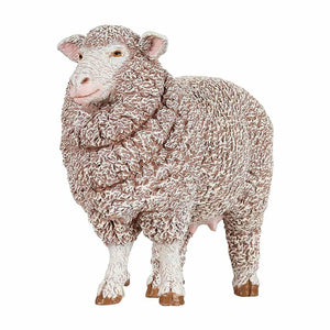 Papo - Merinos ewe