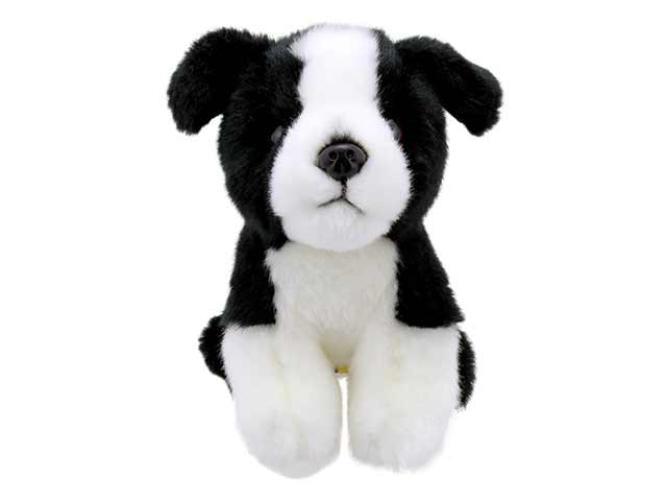 Wilberry - Wilberry Minis - Border Collie