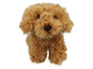 Wilberry - Wilberry Minis - Cockapoo