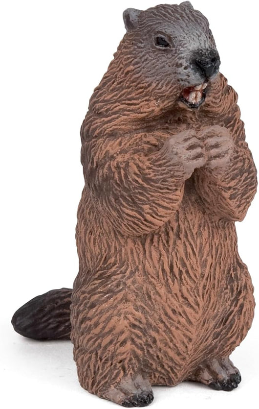 Figura Marmotta - Animale Selvatico Alpino per Bambini dai 3 Anni - Roditore Realistico Dipinto a Mano - Plastica Resist