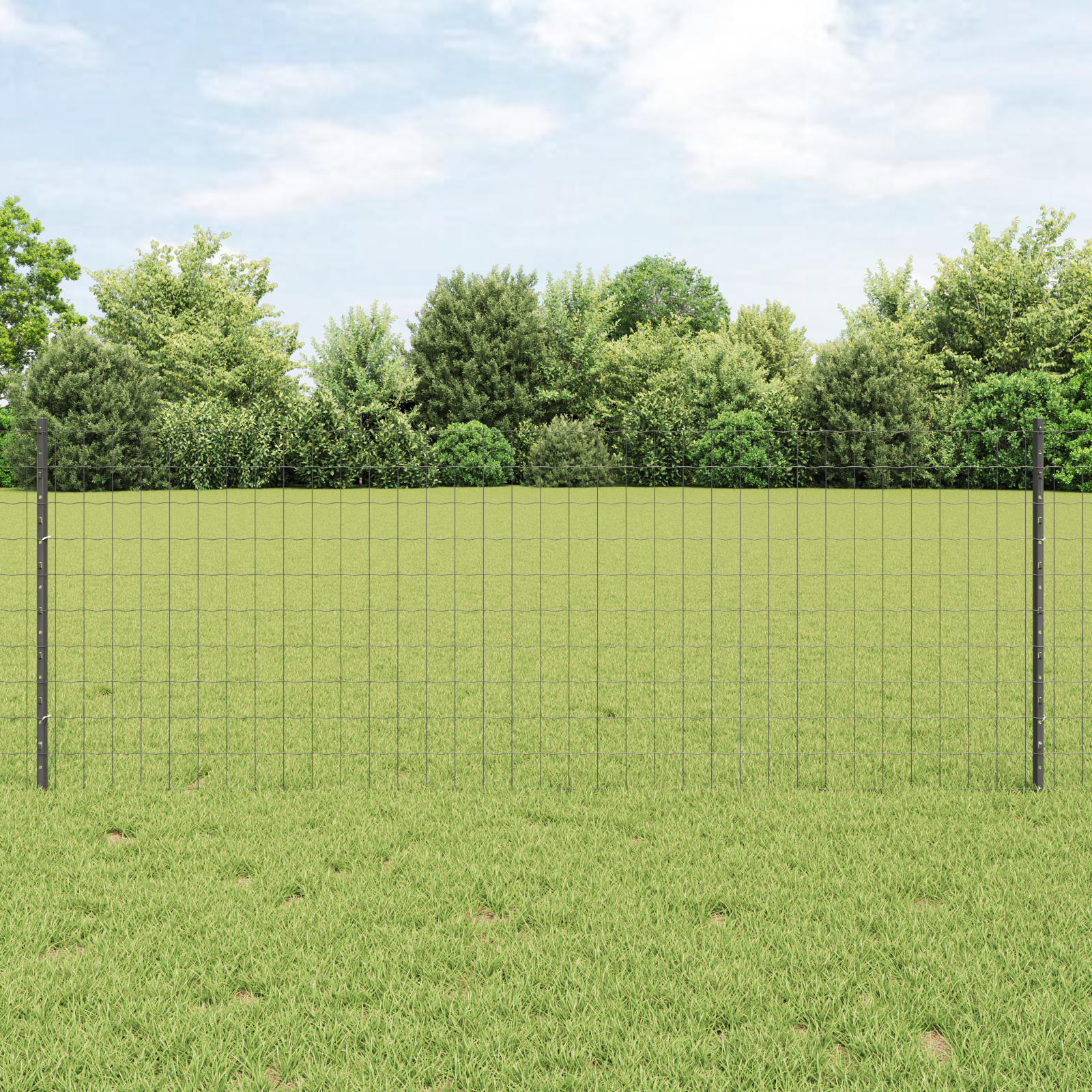 Euro Fence con 5 post in U Grigio 0,8x10 m Acciaio