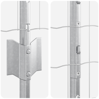 Recinzione Euro con 10 Post in Argento 1,6x10 m in Acciaio