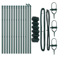 Recinzione a catena con 13 pali 0,4x25 m in acciaio galvanizzato verde