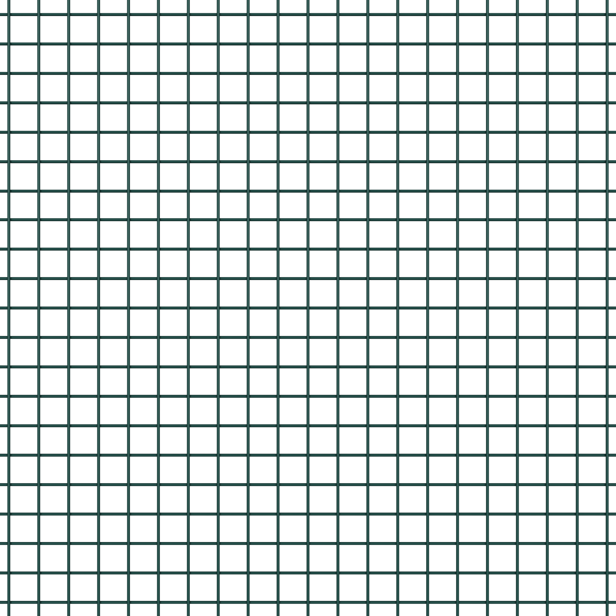 Recinzione Filo Saldato con 13 Picchetti Verdi 1x50 m Acciaio