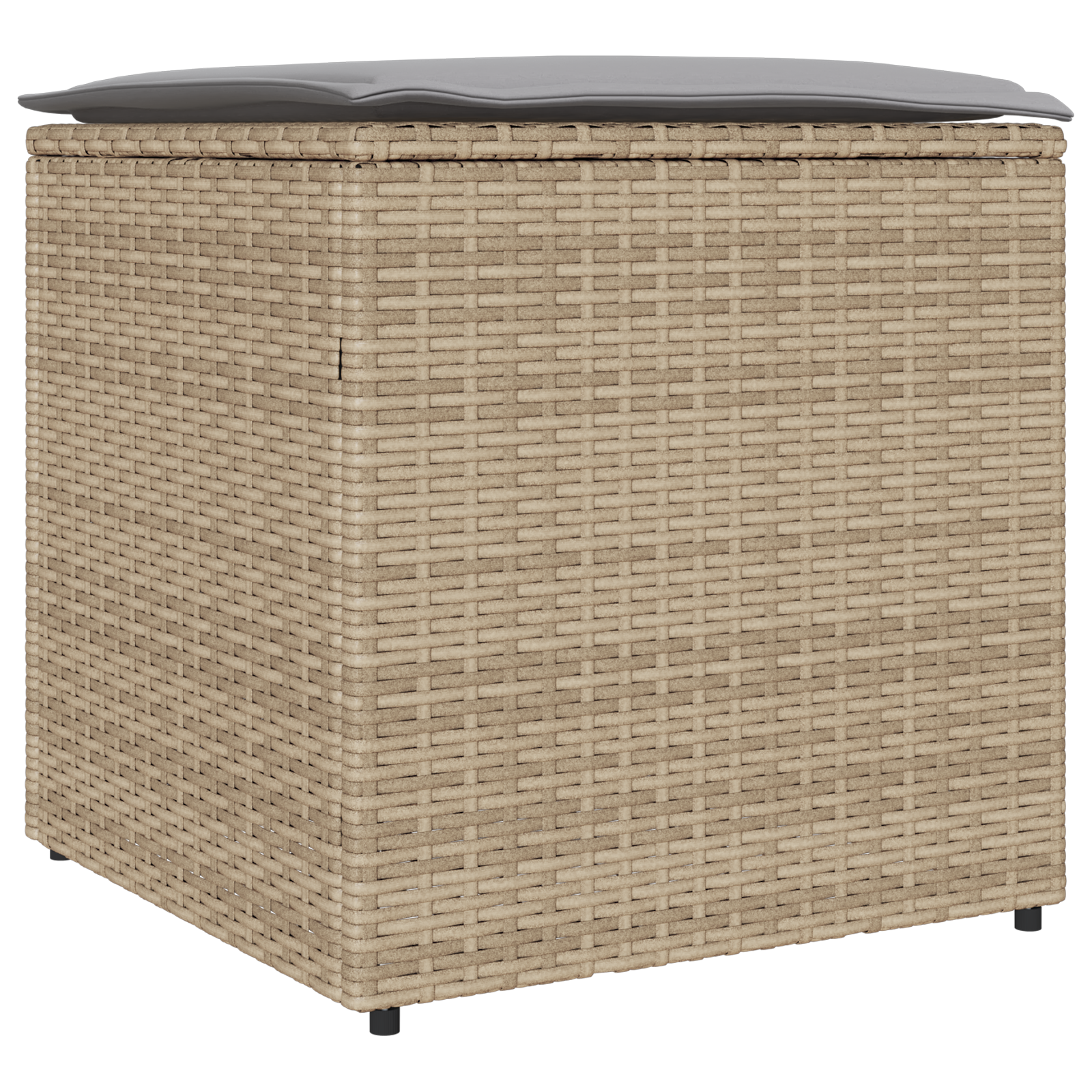 Scatola di Stoccaggio per Esterni Beige Rattan Sintetico Media