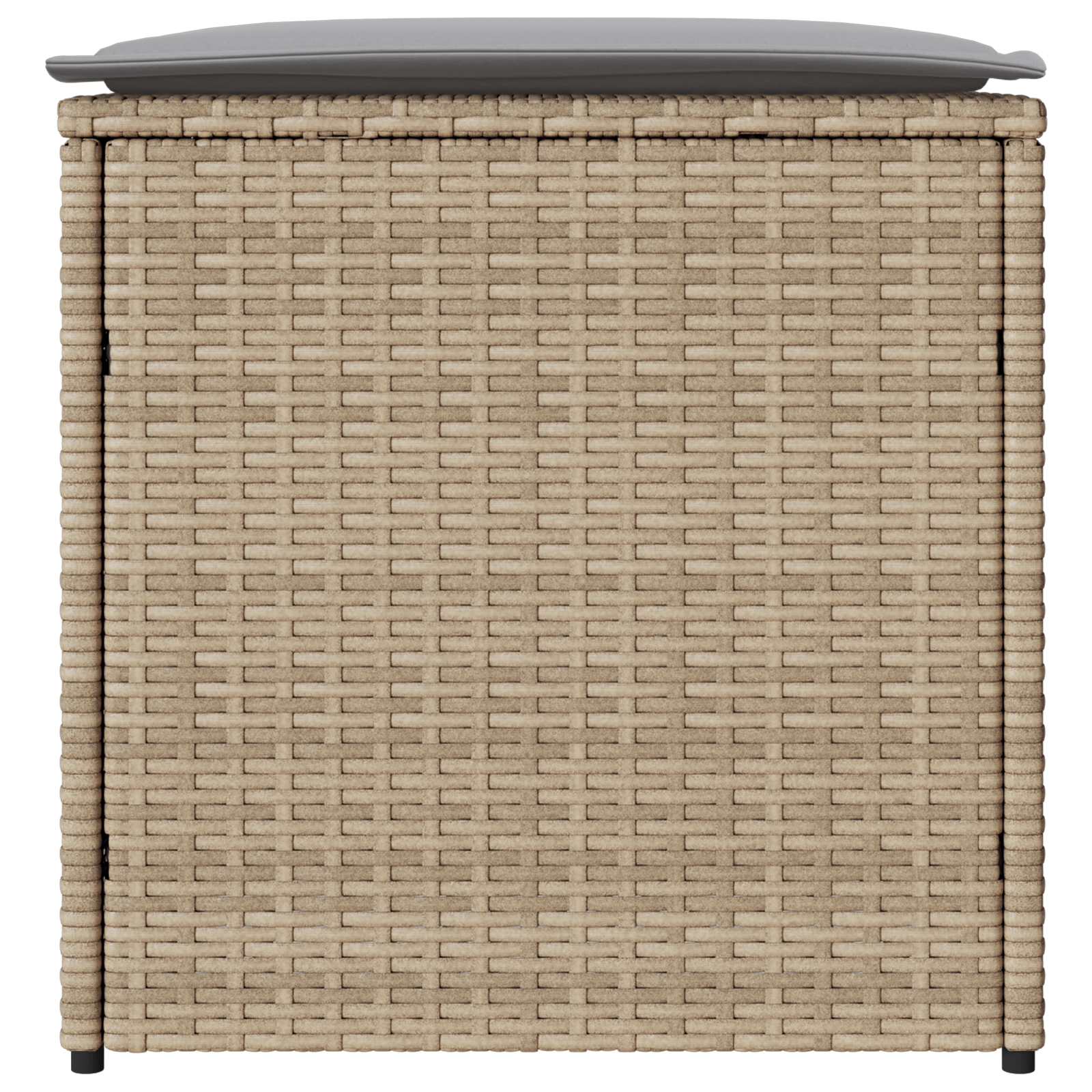 Scatola di Stoccaggio per Esterni Beige Rattan Sintetico Media