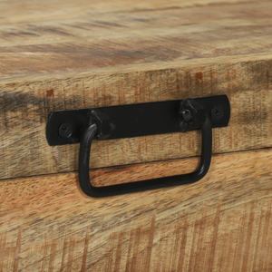 Baule di Stoccaggio 80x30x30cm in Legno di Mango e Metallo