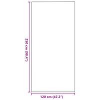 Zerbino Rettangolare Nero 120x250 cm