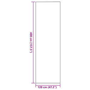 Zerbino Rettangolare Grigio 120x400 cm di
