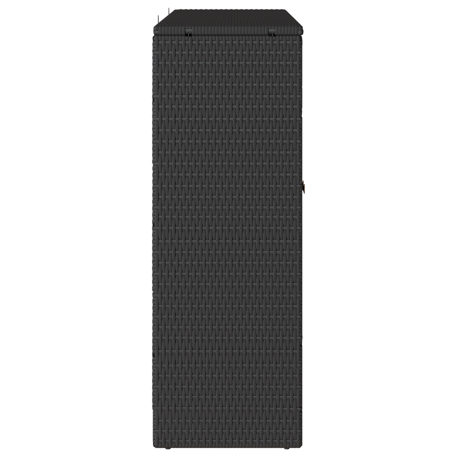 Armadio da Stoccaggio Nero 100x36x102 cm Rattan